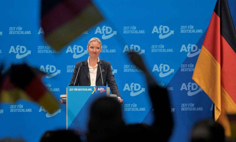 alice weidel afdnin basbakan adayligina secildi f4qzRY9I