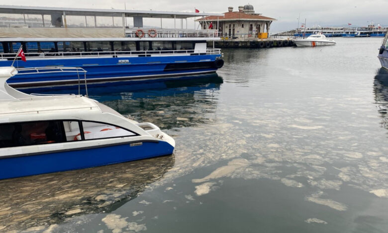 marmaraya yayiliyor musilaj kadikoye dayandi RefSDWPc