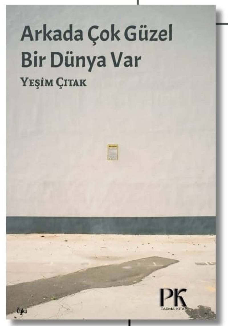 yesim citaktan ilk kitap arkada cok guzel bir dunya var 0