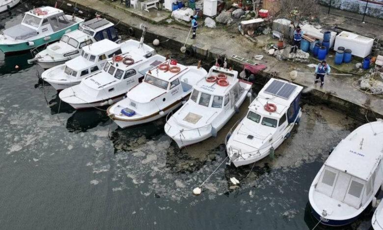 uzmanlardan marmara icin musilaj uyarisi jet akinti bolgeye geldi 5FuGV8Zs