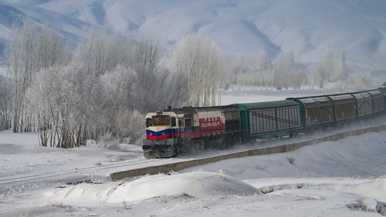 vana tren gecikir belki de hic gelmez 2 OhYr6kAB