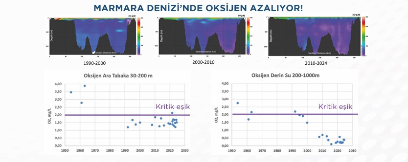 marmara denizi musilajdan kurtulamiyor orumcek agi gibi sardi 4 TSzeFJRd