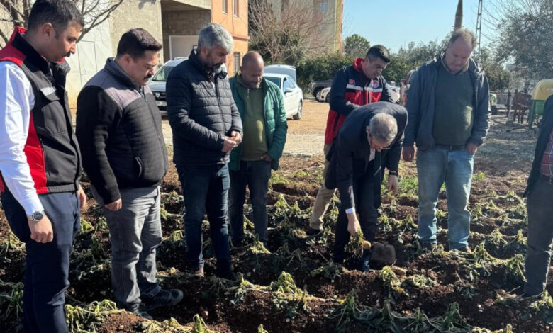 Adana'da tarım alanlarında donma meydana geldi 1 adanada tarim alanlarinda donma meydana geldi M7EeYJQU