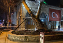 550 yillik cinar 600 yillik tarihi ishakpasa camiinin uzerine devrildi r9gClw1Z