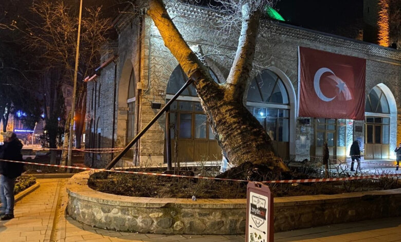 550 yıllık çınar, 600 yıllık tarihi İshakpaşa Camii'nin üzerine devrildi 1 550 yillik cinar 600 yillik tarihi ishakpasa camiinin uzerine devrildi r9gClw1Z