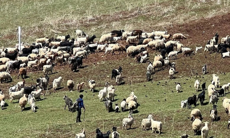 70 bin tl kazandiriyor ama kimse yapmak istemiyor dX4AH9D4