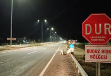 adiyamanda kuduz nedeniyle 6 ay karantina EGBrBPBw