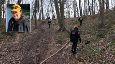 afaddan ece gurel aciklamasi ormanin tamamini arayacagiz e3G4BZEi
