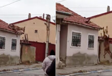 afyonda evin catisindan dusen kizil geyik oldu s5wdIBaZ