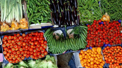 antalya hal raporu sebze ve meyve zamlandi domatesin fiyati dustu VaBjhLJ4