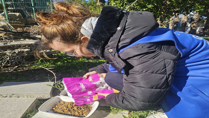 antalyada gonulluler mama dagitti ihtiyac sahiplerine odun tasidi 0 8rsU8DXF