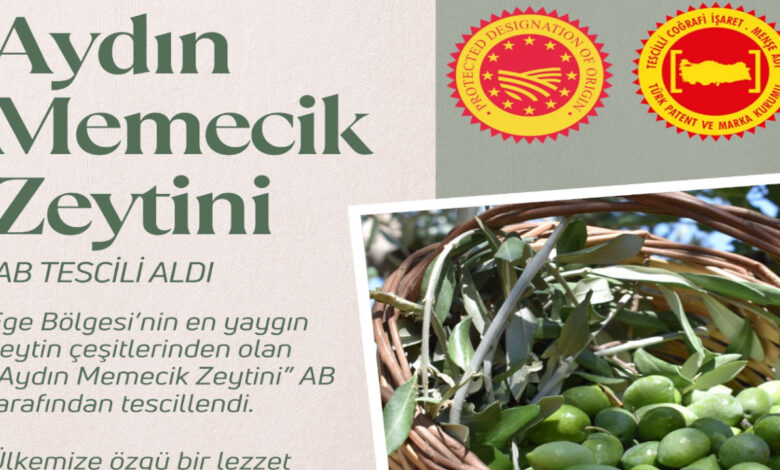 Aydın Memecik Zeytini'ne AB tescili 1 aydin memecik zeytinine ab tescili Zt8JQLxV