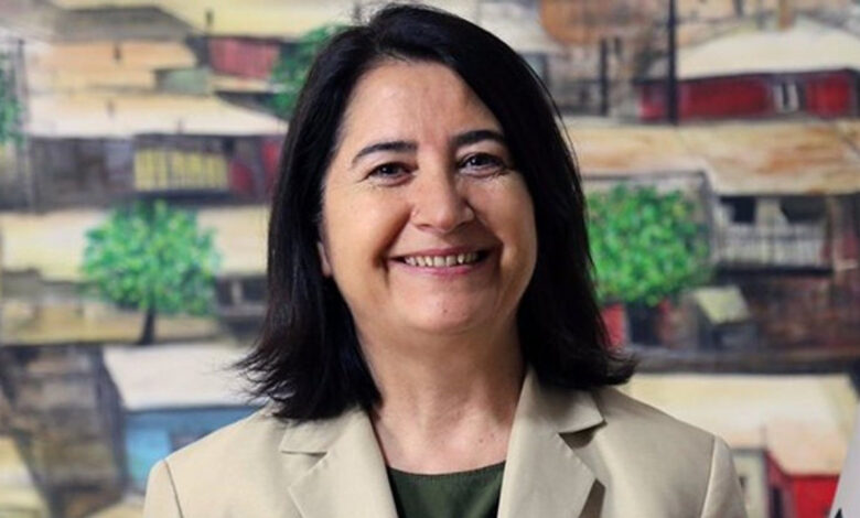 AYM'den eski HDP Eş Genel Başkanı'na hakarete 'ifade özgürlüğü' kararı 1 aymden eski hdp es genel baskanina hakarete ifade ozgurlugu karari f4OffZSf