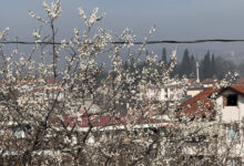 cemre topraga dustu agaclar cicek acmaya basladi juw8Gsj4