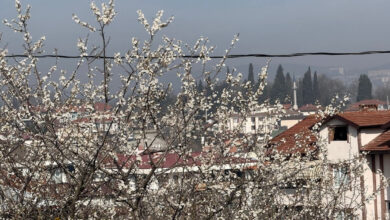 cemre topraga dustu agaclar cicek acmaya basladi juw8Gsj4