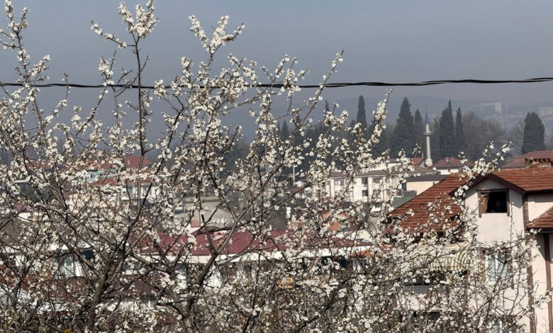 Cemre toprağa düştü, ağaçlar çiçek açmaya başladı 1 cemre topraga dustu agaclar cicek acmaya basladi juw8Gsj4