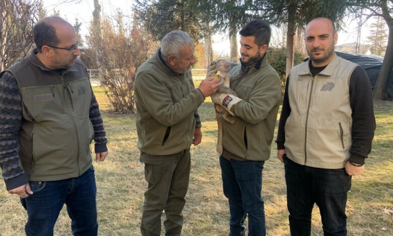 Elazığ'da kırsal alanda gezerken yolda makak maymunu buldu 1 elazigda kirsal alanda gezerken yolda makak maymunu buldu Om17Z8xq