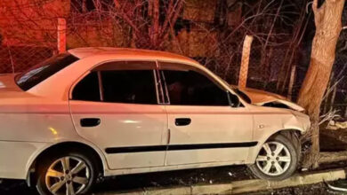 elazigda otomobil agaca carpti pKTNKG8u
