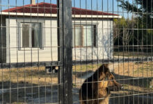 emekli polis esini bogarak katletti fTVmzSIc