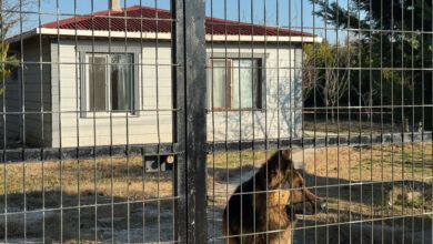 emekli polis esini bogarak katletti fTVmzSIc