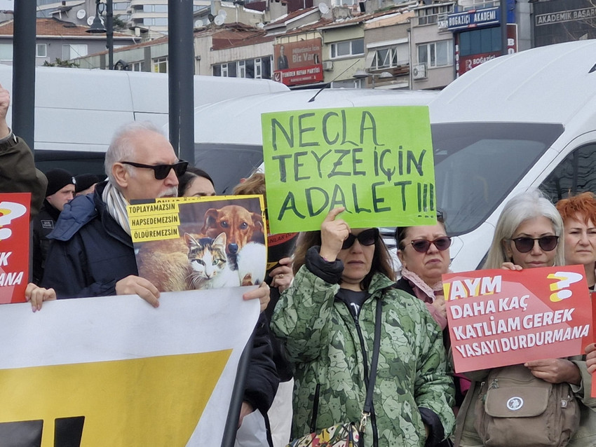 hayvan haklari savunucularindan besiktasta eylem yasa nefreti korukluyor 0 2BlmQMre