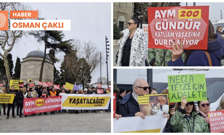 Hayvan hakları savunucularından Beşiktaş’ta eylem: 'Yasa nefreti körüklüyor' 1 hayvan haklari savunucularindan besiktasta eylem yasa nefreti korukluyor d3gZwYEJ
