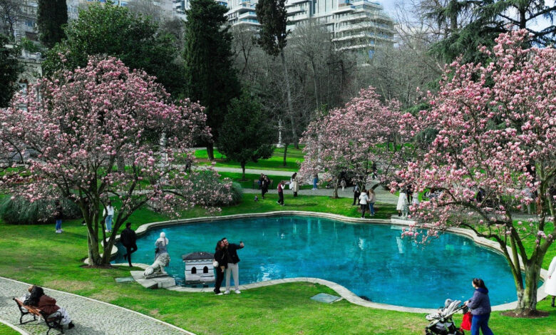 Ihlamur Kasırları kışın baharı yaşatıyor 1 ihlamur kasirlari kisin bahari yasatiyor haUanawK