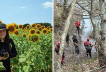 istanbulda kaybolan peyzaj mimari ece gurelin mesajlari ortaya cikti zJsnN1Y9