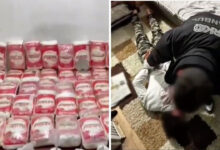 istanbulda un paketlerinde ele gecirilen 365 kilo kokainin rotasi desifre oldu m8FxWjZ9