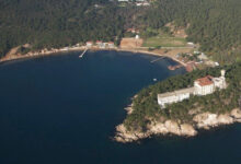 madam martha koyundan guzel haber ihale iptal edildi PgL1y2Rx