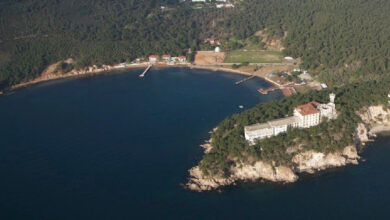 madam martha koyundan guzel haber ihale iptal edildi PgL1y2Rx