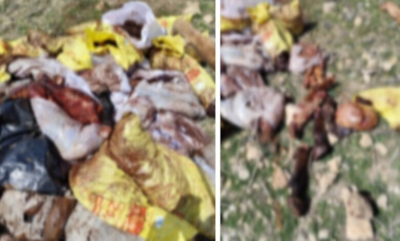 Mardin'de mide bulandıran olay: Et ve eşek kesen şüpheliye suçüstü 1 mardinde mide bulandiran olay et ve esek kesen supheliye sucustu ltOOpNqx