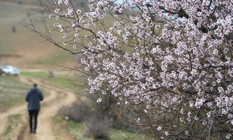 Meteoroloji bölge bölge açıkladı: Hava sıcaklıkları 4 - 8 derece artıyor 1 meteoroloji bolge bolge acikladi hava sicakliklari 4 8 derece artiyor y4uJlBds