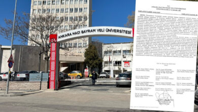 universitede kopek beslemek yasaklandi barinaklara gonderilecekler DrB1hFJe