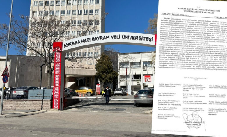 Üniversitede köpek beslemek yasaklandı: Barınaklara gönderilecekler 1 universitede kopek beslemek yasaklandi barinaklara gonderilecekler DrB1hFJe