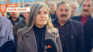 vanda kayyim karari sonrasi kadin projeleri rafa kalkti BMkmyCKP