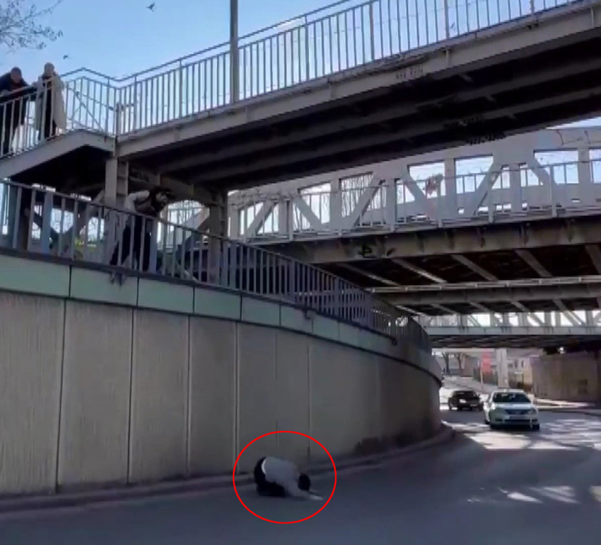 video icin kopruye cikti gecemeyince dustu 0 66tuqqfD