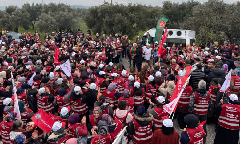 Yüzlerce tütün işçisi grevde: 'İşverenler birleşti, biz de birleştik' 1 yuzlerce tutun iscisi grevde isverenler birlesti biz de birlestik ZhWjf5X1