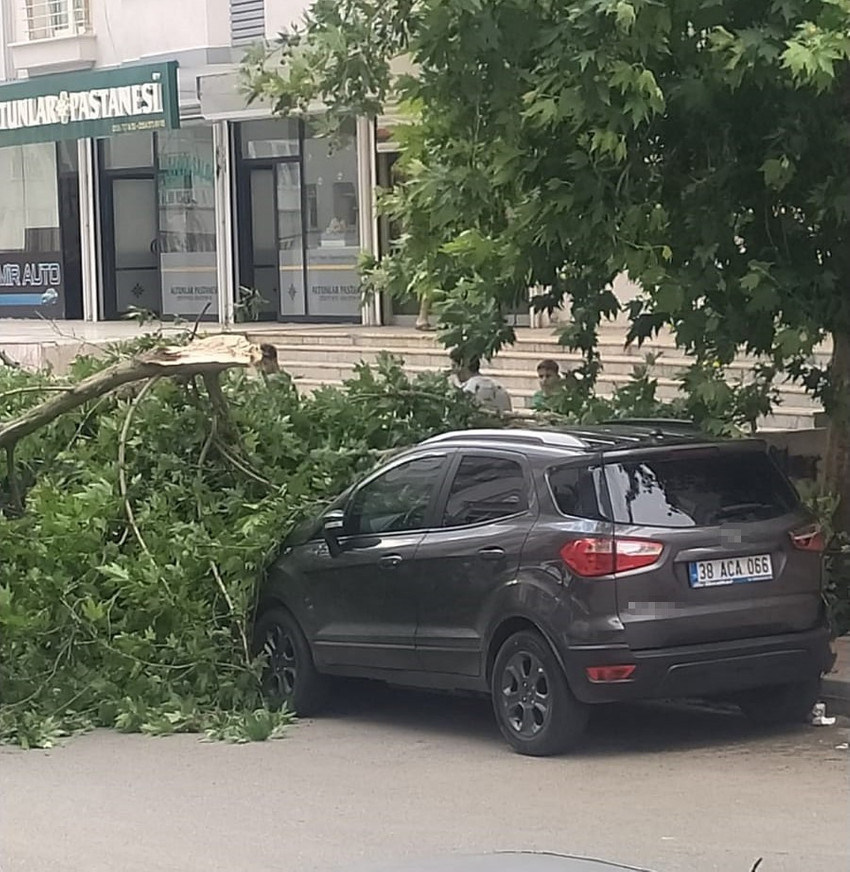 agac park halindeki aracin uzerine devrildi facia ucuz atlatildi 0