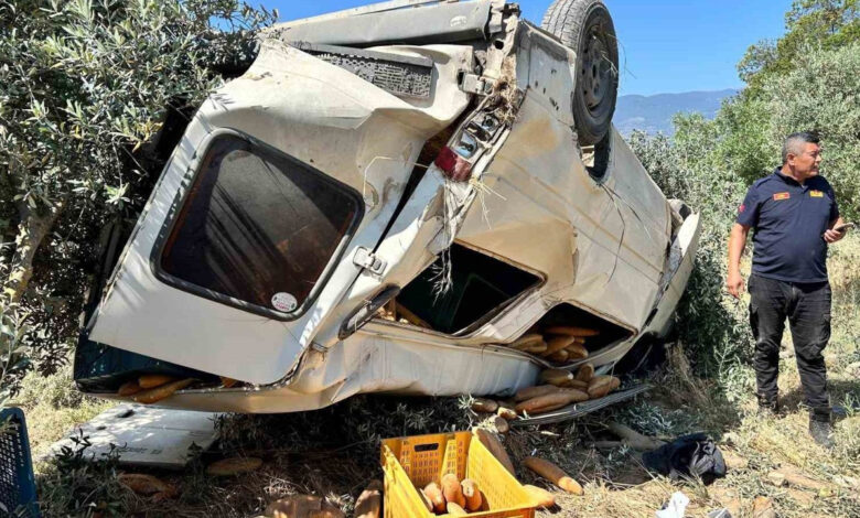 Aydın’da feci kaza: Ekmek taşıyan araç zeytinliğe uçtu, sürücü hayatını kaybetti 1 aydinda feci kaza ekmek tasiyan arac zeytinlige uctu surucu hayatini kaybetti 9aOmnfGL