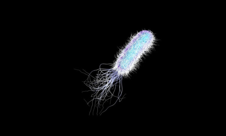 Hastanelerde sessiz tehdit: Pseudomonas aeruginosa tıbbi plastiklerle besleniyor! 1 hastanelerde sessiz tehdit pseudomonas aeruginosa tibbi plastiklerle besleniyor EtJ6G5Ir