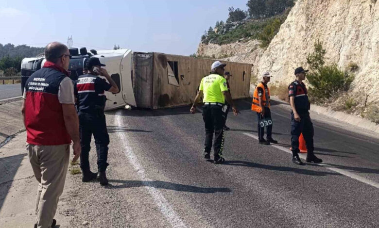 Silifke’de Angus yüklü Tır devrildi: 1 hayvan telef oldu, sürücü yaralı 1 silifkede angus yuklu tir devrildi 1 hayvan telef oldu surucu yarali UzVBk7pt