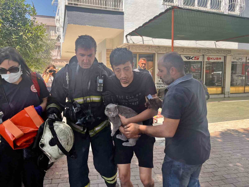 yanginda evde mahsur kaldi kedisini bir an bile birakmadi 0 s5fI3NkX