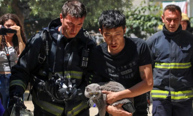 Yangında evde mahsur kaldı: Kedisini bir an bile bırakmadı 1 yanginda evde mahsur kaldi kedisini bir an bile birakmadi aGZwtRfy